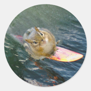Adesivo Chipmunk surfando bonito