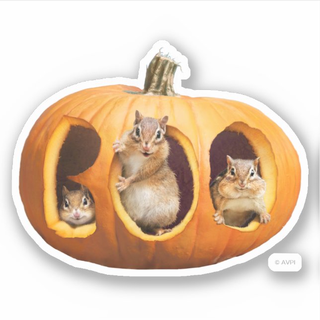 Adesivo Chipmunks Dentro Boo Jack-o-Lanterna (Frente)