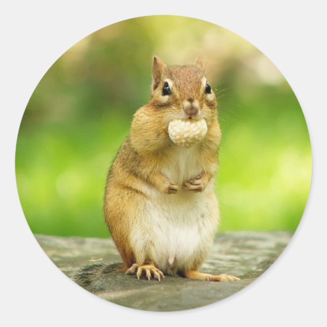 Adesivo Chipset com tratamento (Frente)