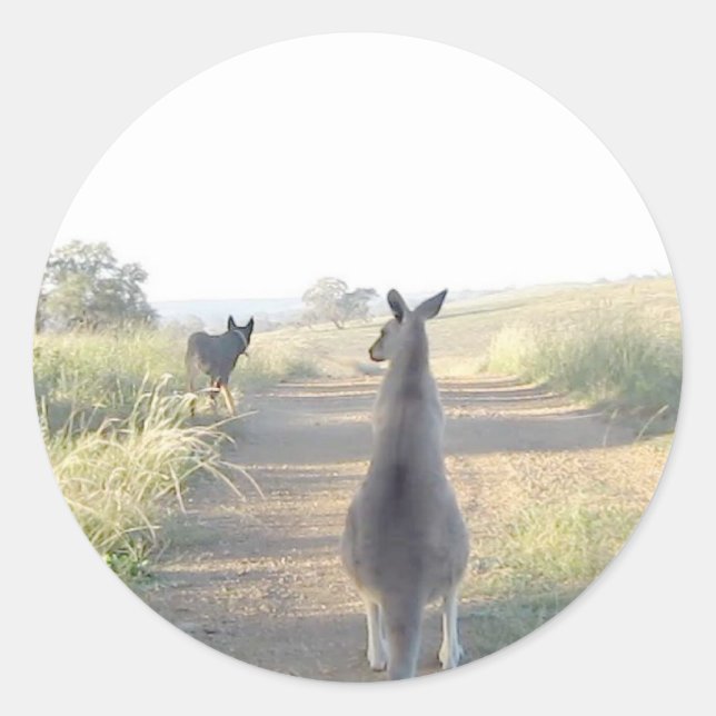 Adesivo Chloe o canguru Sam, o cão (Frente)