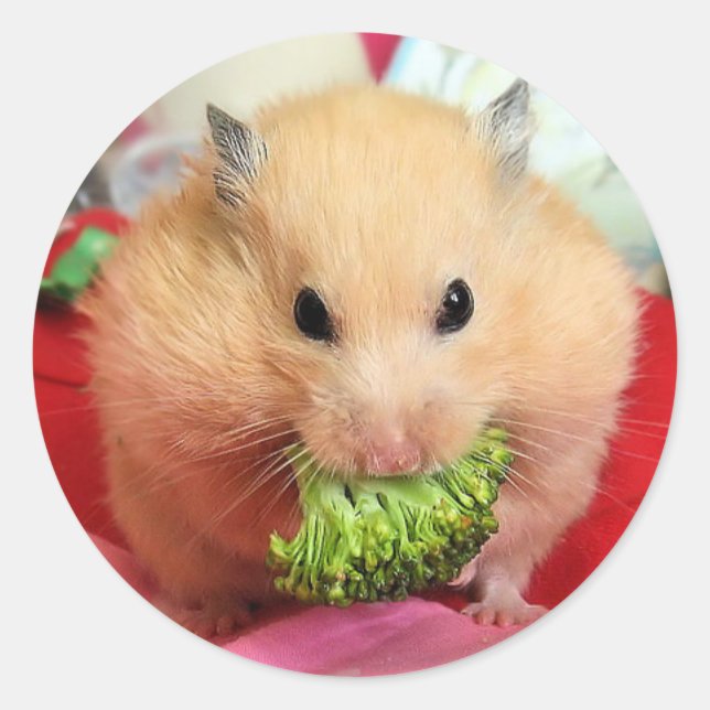 Adesivo Chmurka e brócolis (Frente)