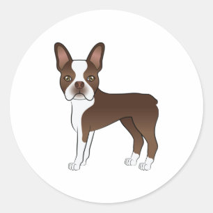 Adesivo Chocolate Brown Boston Terrier Cão de Cartografia