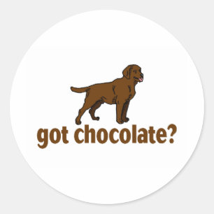 Adesivo Chocolate Labrador