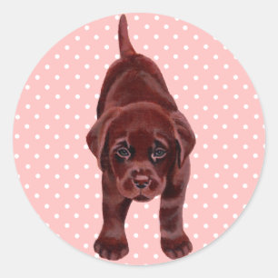 Adesivo Chocolate Labrador Puppy