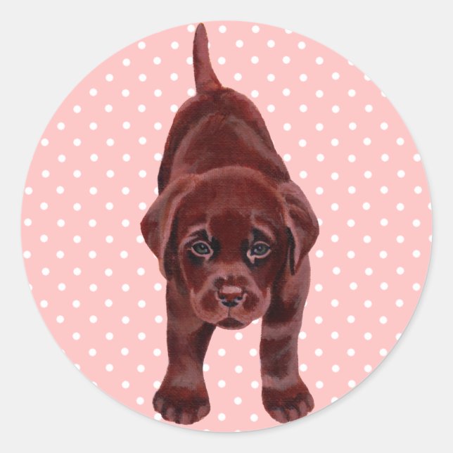 Adesivo Chocolate Labrador Puppy (Frente)