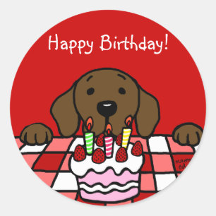 Adesivo Chocolate Labrador que olha o cozinha