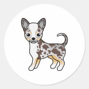 Adesivo Chocolate Merle Smooth Casaco Chihuahua