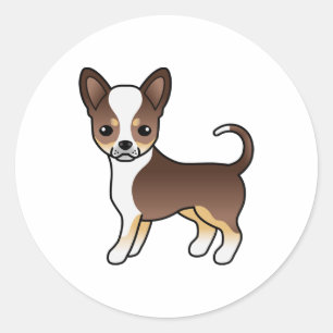 Adesivo Chocolate Tricolor Casaco Chihuahua Cachorro Suave