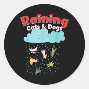 Adesivo Chovendo Gatos E Cachorros Chuva Canino Felino Pet
