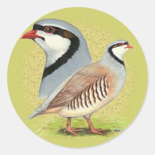 Adesivo Chukar Partridge Combo