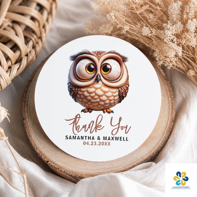 Adesivo Chuveiro de Bebê Menino com Caricatura de Coruja F (Cute Caricature Owl Baby Boy Shower Classic Round Sticker)