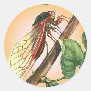 Adesivo Cicada