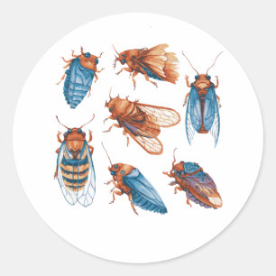 Adesivo Cicadapocalypse Cigarras Engraçado Cigarras Inseto