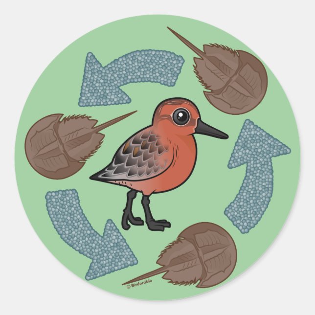 Adesivo Ciclo do Nó de Caranguejo (Frente)