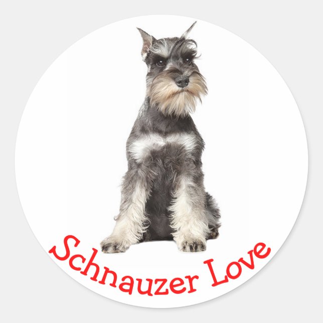 Adesivo Cinza de amor Schnauzer Puppy Dog Sticker (Frente)