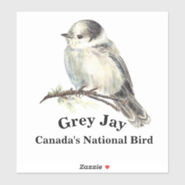 Adesivo Cinza de aquarelas Jay Willife Bird Nature Art