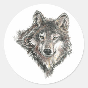 Adesivo Cinza de aquarelas Logotipo do lobo Lobos-da-Natur