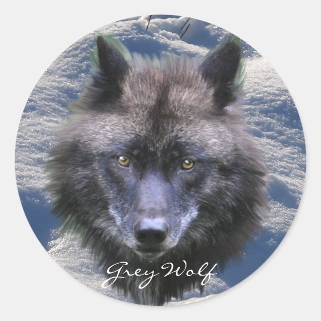 Adesivo CINZA WOLF HEAD & SNOW Wildlife Supporter Stickers (Frente)