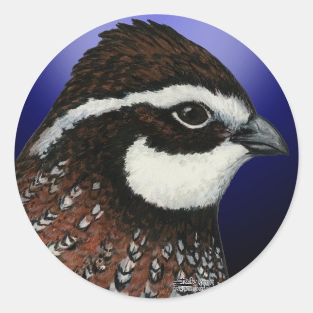 Adesivo Círculo da Cabeça da Codorna Bobwhite (Frente)