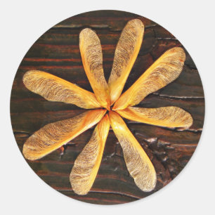 Adesivo Círculo de plântulas de árvores de mapeamento do h