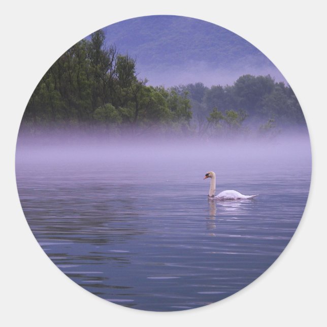 Adesivo Cisne no lago (Frente)