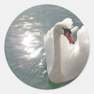 Adesivo Cisne romântico branco