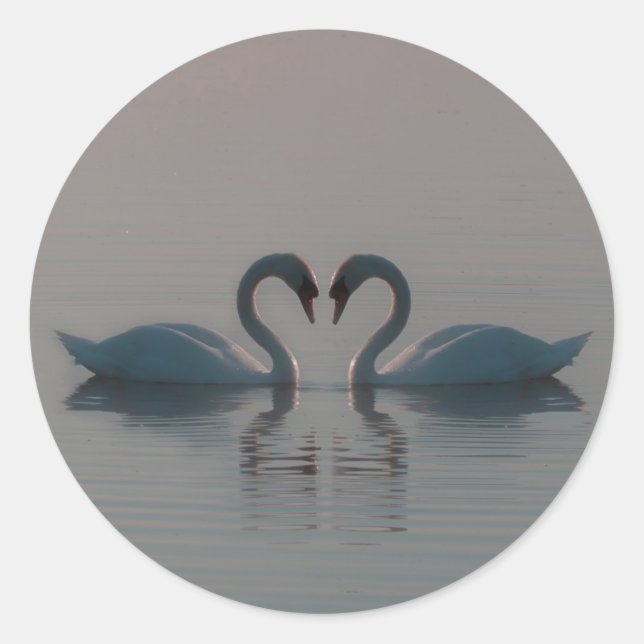 Adesivo Cisnes Azuis Devem Ser Amor (Frente)