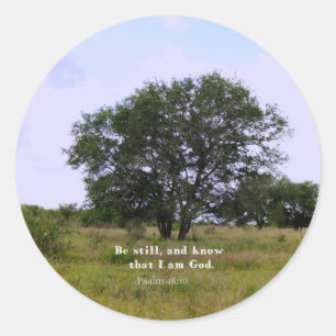 Adesivo Citação de Bíblias Inspiracional Psalm 46:10