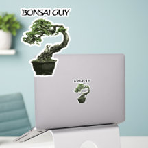 Citação engraçada do cara do bonsai para amantes d