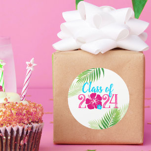 Adesivo Classe de Formatação Tropical de Luau de 2024