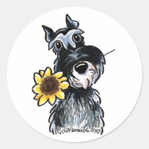 Adesivo Clássico ensolarado do Schnauzer