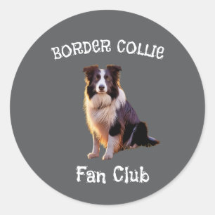 Adesivo Clube de fãs de collie de fronteira