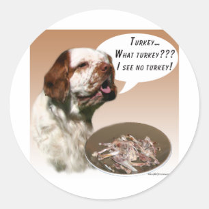 Adesivo Clumber Spaniel Turquia