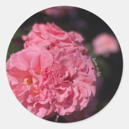 Adesivo Cluster com Coletor de Rosas Rosa