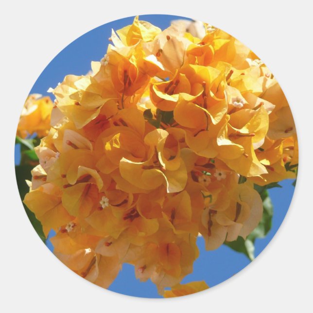 Adesivo Cluster de Bougainvillea Floral Ouro (Frente)
