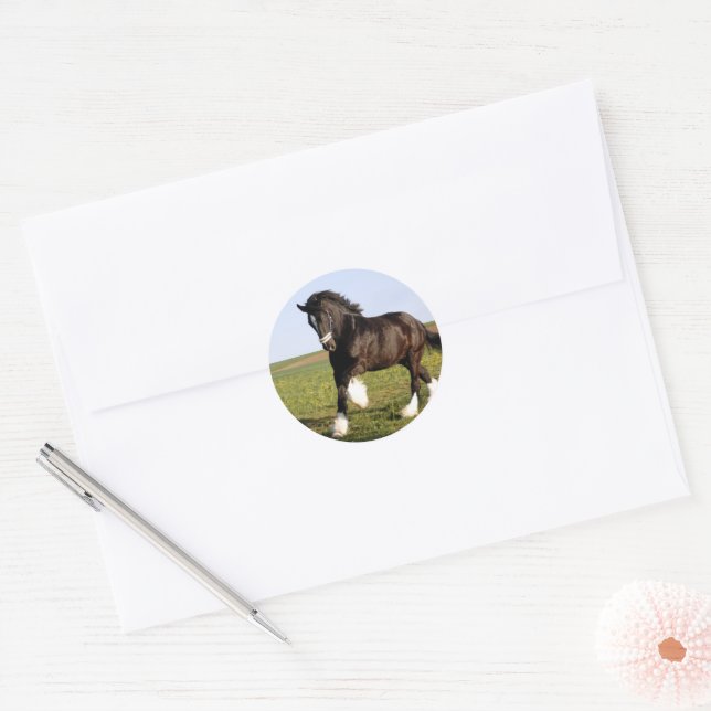 Adesivo Clydesdale Horse (Envelope)