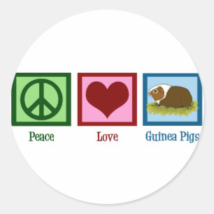 Adesivo Cobaia bonito