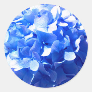 Adesivo Cobalt Azul