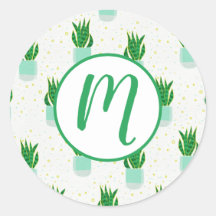 Cobra de planta de Sansevieria Potted