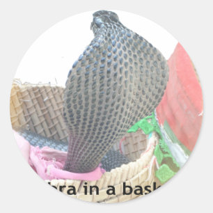 Adesivo Cobra em uma cesta pronta para cuspir fogo