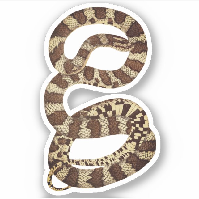 Adesivo Cobra Feliz de Halloween (Frente)