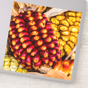 Adesivo Cobs de milho