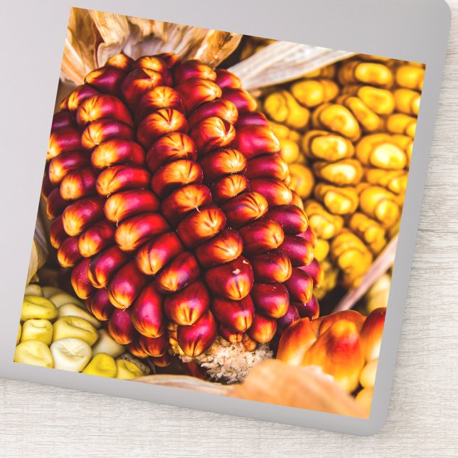 Adesivo Cobs de milho (Detalhe)