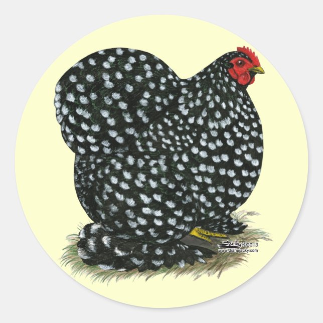 Adesivo Cochin Mottled Hen (Frente)