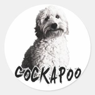 Adesivo Cockapoo