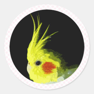 Adesivo Cockatiel