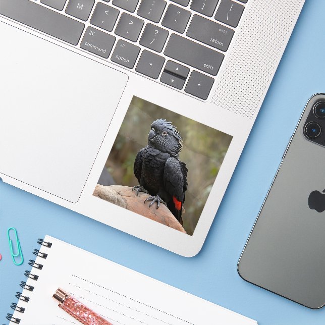 Adesivo Cockatoa Preta (Notebook com iPhone)