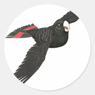 Adesivo Cockatoo Preto Perfurado Vermelho