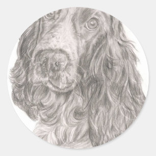Adesivo Cocker spaniel