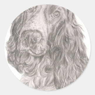 Adesivo Cocker Spaniel